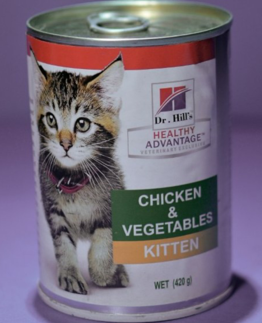 کنسرو بچه گربه