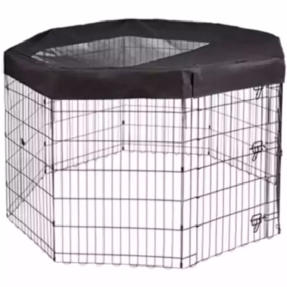 سقف برزنتی سگ و گربه